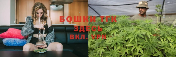 сатива Рославль