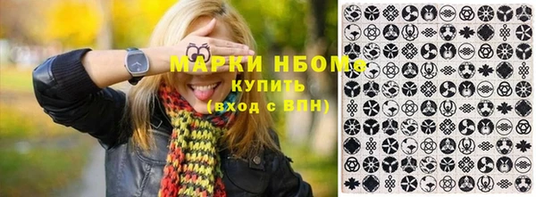 ПСИЛОЦИБИНОВЫЕ ГРИБЫ Арсеньев