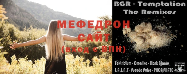 сатива Ростов