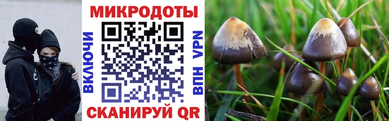 Псилоцибиновые грибы Psilocybe ссылка на мегу ссылки Тобольск как найти
